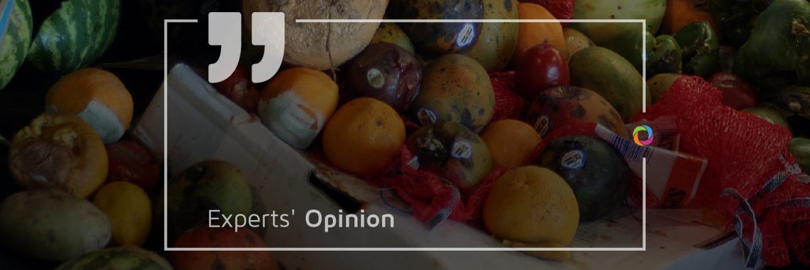 Experts’ Opinions| Food waste 