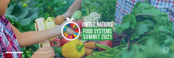 UN Food Systems Summit needs w