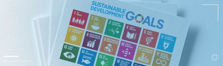 UN Sustainable Development Goa