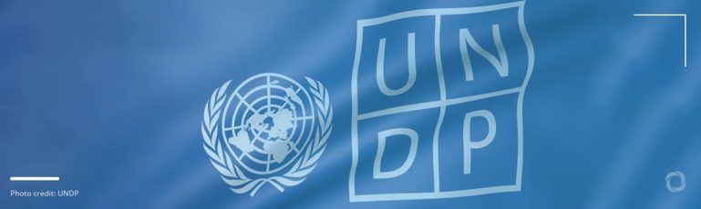 A brief history of the UNDP