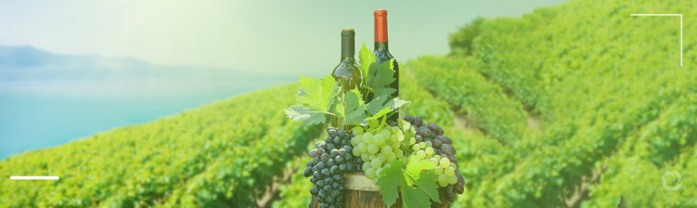 Top 10 wine-producing countrie