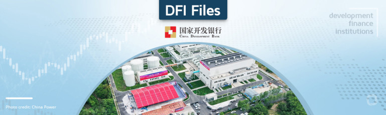 DFI Files: China Development B
