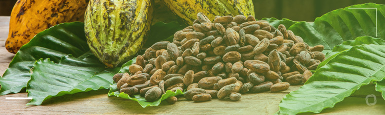 Top 10 cocoa-producers and the